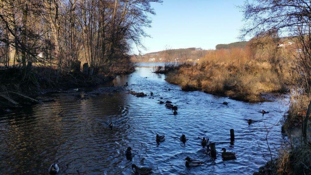 Ferienwohnung Am Sorpesee Allendorf  Екстер'єр фото