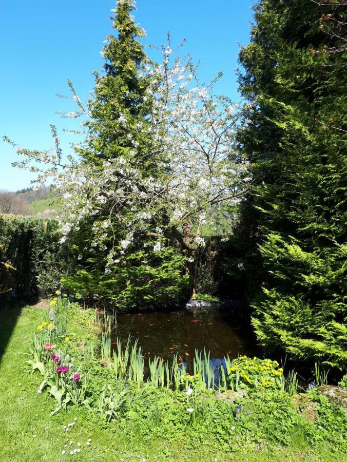 Ferienwohnung Am Sorpesee Allendorf  Екстер'єр фото